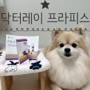 [닥터레이영양제/레이앤이본영양제] 닥터레이 프라피스 강아지 구강 스프레이 사용후기