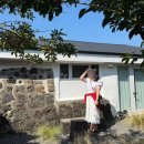 아일안 | [제주숙소추천] 조천읍 아일안 B동 후기