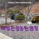 관관농원 백화원 | [배방관광농원캠핑] 아산 캠핑장 추천, 마운틴뷰 도시근교 차박가능캠핑장