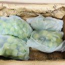 한신농장 이미지