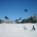 오름이야기 이미지