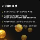 티엠텍 이미지