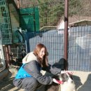 다예의원 이미지