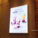 티암 주얼리 이미지