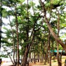 장수읍 실미식당 앞 | 인천 실미도해수욕장 차 박 가능한 실미 유원지 실미도 입장료, 주차비