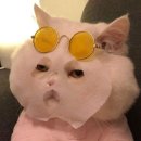 노는게 제일조아