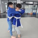 드림바디 유도클럽 월평관 이미지