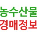 반여시장 | 반여 농산물 도매시장 물건 싸게 사는 꿀팁