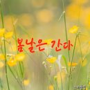 5060발라드음악#6(라일락이 질때) 이미지