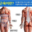 아벨필라테스 - 안산시 상록구 감골1로 33 | 아벨필라테스