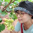 현경농장 이미지