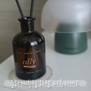 선물하기 딱 좋은 DIY 고급디퓨져 세트 | 교보문고 디퓨저 리필액 올리 내추럴 라벨 디퓨저세트 숲속 포레스트향 추천