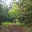 유선정 체육공원 이미지