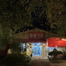 탑골 | 강원 춘천 “탑골가든” 후기