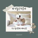 아기돌잔치준비4:| 돌잔치 장소 아현정 / 제이드컴퍼니 / 꼼모아아틀리에 메이크업