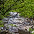 영남D주택 이미지