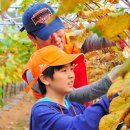 에스케이농장 이미지