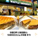 놀러와플 | 와플대학 선릉점 두바이초코스노우와플 내돈내산 후기