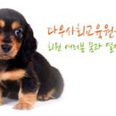 개와고양이 반려동물원 중앙일보