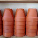 월평4호 이미지