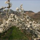 남해-236 이미지