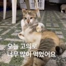 마왕PC방 | 살랑살랑 봄냄새