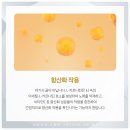 에스언니 이미지