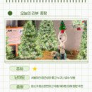 함평공영주차장 내(현재 미운영) | 서울 크리스마스트리 명소 제이닷트리 2025 애견 동반 주차 팁