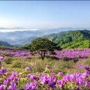 합천 이미지