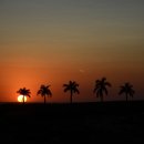 뜻밖의 발견 이미지