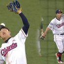 돼지되지 이미지