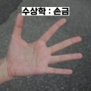 관상학&수상학 이미지