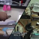 타파 이미지
