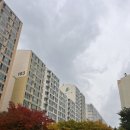 만촌화성파크스위트경로당 | 대구 수성구 만촌화성파크스위트 입주청소 / 이사청소