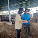 그늘막105 이미지