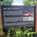 이당로 이미지