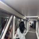 세부 여행 : 세부 3박 5일 일정 추천(오캐모팩 후기, 예산, 맛집, 노션 공유)