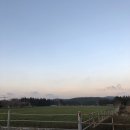 노가리앤비어 이미지