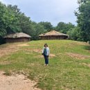 맛깔칼국수 이미지