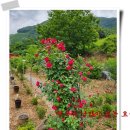 나가지농장 이미지