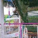 지구별무대 이미지