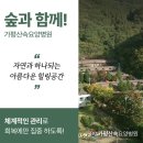 가평산속요양병원 | 가평요양병원 단순 요양을 넘어 치료가 되는