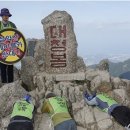 공공칠 이미지