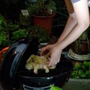 나비키친 이미지