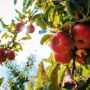 오늘도뚠뚠 이미지