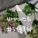주식회사 퍼퓸홀릭 | 겟잇뷰티 불금향수 퍼퓸홀릭 바디미스트 신상 / 향수같은 바디미스트♪