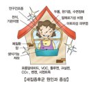 라디안아이 이미지