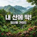 양지임업 | 실패 없는 임산물 선택 가이드: 내 산에 맞는 작물 찾는 15년차 전문가의 비법