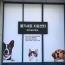 CH동물병원 이미지