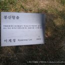 인식`작용-자아 Daum카페